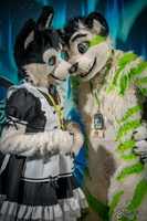 FLT09347-Enhanced-NR