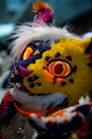 FLT09355-Enhanced-NR