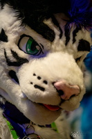 FLT09366-Enhanced-NR