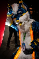 FLT09387-Enhanced-NR