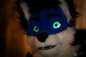 FLT09416-Enhanced-NR