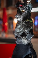 FLT09424-Enhanced-NR