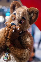 FLT09439-Enhanced-NR