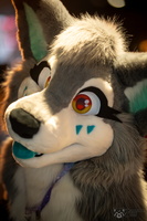 FLT09463-Enhanced-NR