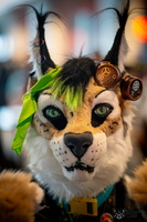 FLT09538-Enhanced-NR