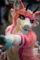 FLT09552-Enhanced-NR