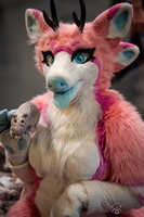 FLT09556-Enhanced-NR