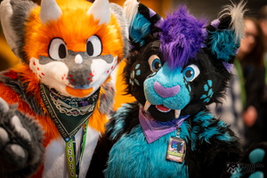 FLT09560-Enhanced-NR