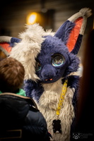 FLT09586-Enhanced-NR