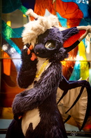 FLT09591-Enhanced-NR