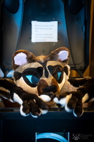 FLT09595-Enhanced-NR