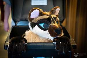 FLT09598-Enhanced-NR