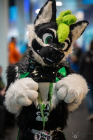 FLT09706-Enhanced-NR