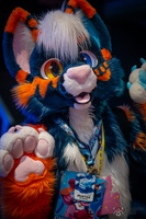 FLT09870-Enhanced-NR