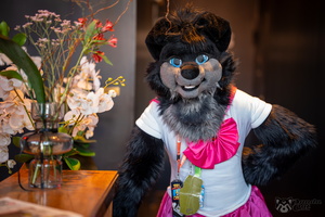 FLT09629-Enhanced-NR