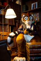 FLT09776-Enhanced-NR