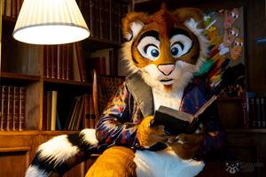 FLT09778-Enhanced-NR