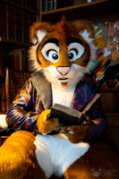 FLT09780-Enhanced-NR