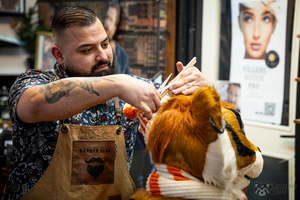 FLT09837-Enhanced-NR