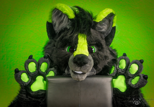 Pollux 50s art style