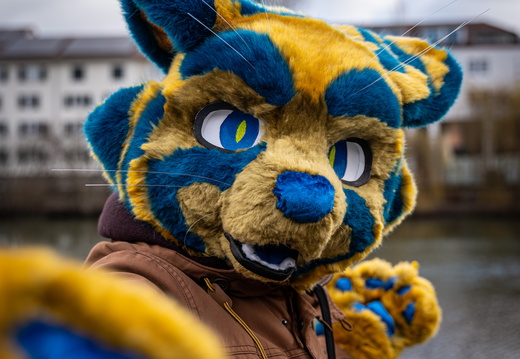 Fursuitwalk Heilbronn March 2025