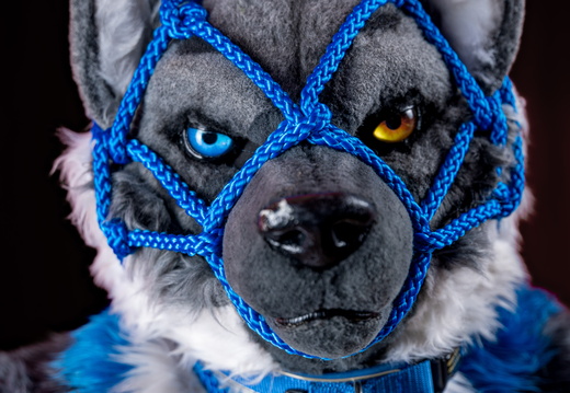 Alph & Skyxen Shibari