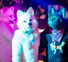 FLT03106-Enhanced-NR