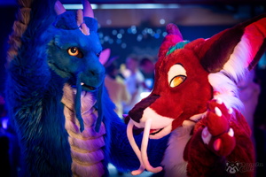 FLT03177-Enhanced-NR