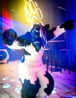 FLT03225-Enhanced-NR