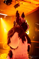 FLT03247-Enhanced-NR