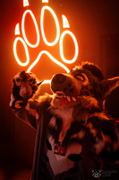 FLT03369-Enhanced-NR