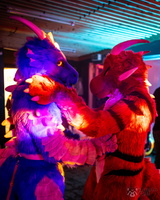 FLT03452-Enhanced-NR