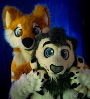 FLT03481-Enhanced-NR