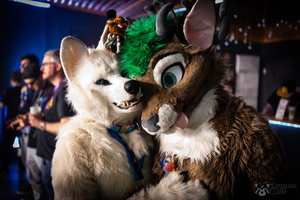 FLT03530-Enhanced-NR