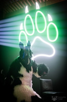 FLT03553-Enhanced-NR