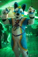 FLT03584-Enhanced-NR