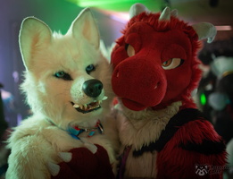 FLT03595-Enhanced-NR