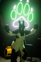 FLT03622-Enhanced-NR