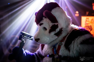 FLT03743-Enhanced-NR