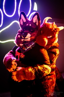 FLT03803-Enhanced-NR