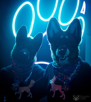 FLT03967-Enhanced-NR