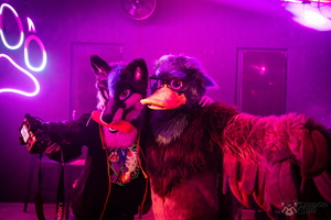 FLT03990-Enhanced-NR