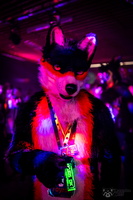 FLT04001-Enhanced-NR