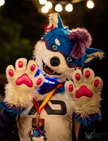 FLT04018-Enhanced-NR