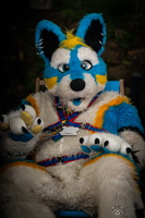 FLT04021-Enhanced-NR