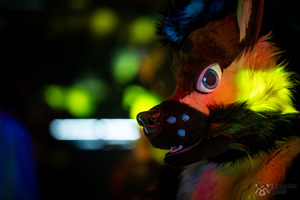 FLT04443-Enhanced-NR