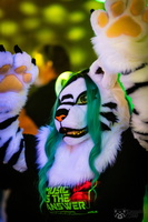 FLT04524-Enhanced-NR