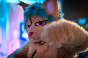 FLT04542-Enhanced-NR