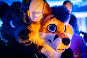 FLT04549-Enhanced-NR