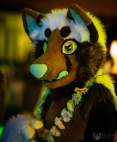 FLT04580-Enhanced-NR